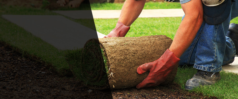 Burton Landscapers